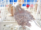 DSCN0171