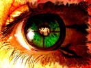 Eyes magic (39)