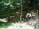 DSCF2522