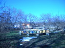 DSCN4161