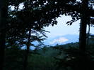 DSCF2978