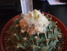 DSCF0553