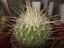 DSCF0847