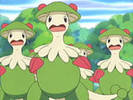 180px-Breloom_anime[1]