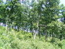 DSCF4018