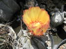 P7170057