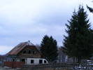 DSCF7647