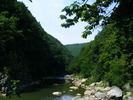 DSCF5321