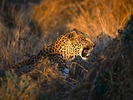 webshots1034