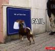 2863_fail_dog