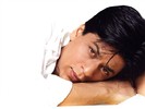 shahrukh_khan_wallpapers_001