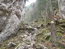 DSC04568
