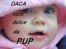 daca sunt dulce da pup