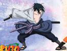 MTS2_523425_LarxeneXII_SasukePiccu