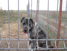 poze 11.10.2009 Jucu 026