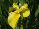 P1110951