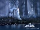 In_the_forest_of_dreams