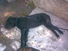 Imag002