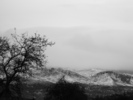 dscf7855