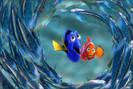 g_nemo_big_002
