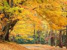 Rural Roadway, Bass Lake, North Carolina