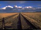 RAIL1024
