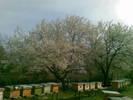 07042009(002)