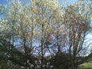 05012006(009)