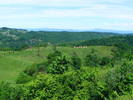 DSCF0545