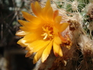 DSC01899