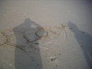 PICT0172