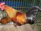 P8161733