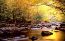 Beautiful-River