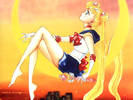 sailor-moon-moon_1024x768