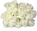 white rose 2[1]