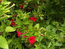 Picture 002