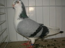 SANY0115