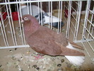 Picture 041