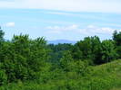 DSCF0525