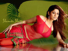 shamita_shetty_001