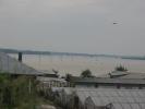 inundatii (40)