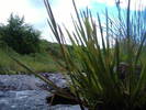 DSCF6101