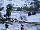 DSCF7327