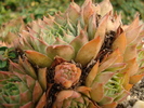 DSC01647