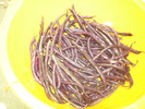 fasole violeta