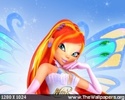 winx  bloom