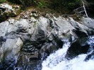 DSCF5161