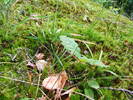 DSCF2560