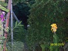 100_6092