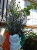 ALBASTRELE CU DECOR IRLANDEZ:)